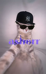 asherrandfriends