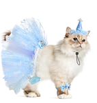 ~ Tutu Cats ~