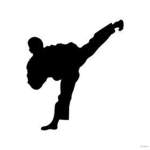 The Roblox Taekwondo Team