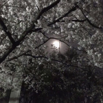 私の深淵