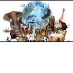 Animal ##### studios