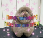 Mulch Munchers