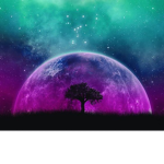 • PlanetVibes •