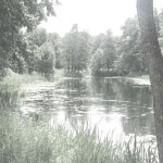 ⋆｡˚୨୧˚｡⋆