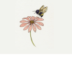 BUZZING BEE APPAREL