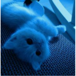 (^///^)