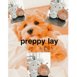 - LAYLA'S SHOP -