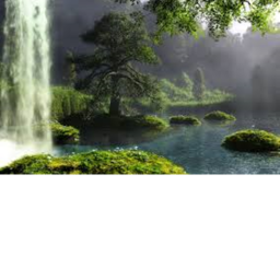 Lovely nature showcase.