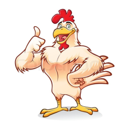 The chicken Obby