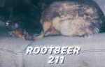 ROOTBEER211 GANG