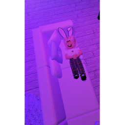 Bunny glam