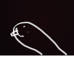 Copper Head Studio Developers