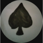 ItsAce_Alright's group