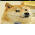shiba and cat fan group
