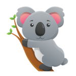 TeamKoalaBears