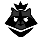 RaCcoon TEAM