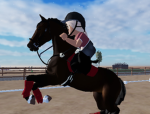English equestrians group