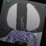Roblox Bigunit6RILES Group