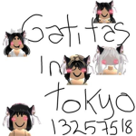 Gatitas In Tokyo