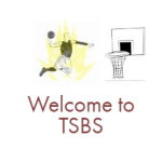 TSBS:TheSlashingBrownShirts