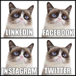 Cute Kitty people!