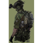U.S ARMY comunity