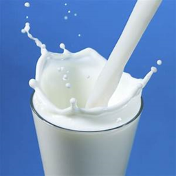Milk hangout club