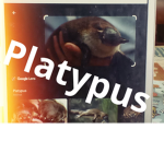 Platypus is good