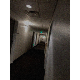 Hallway of Horror