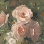 Everri's roses