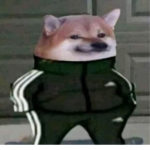 Dog_black