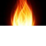 FIRE GO!