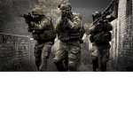 Task force fans