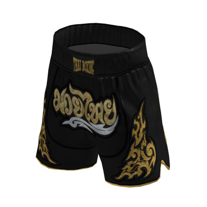 Muay Thai Shorts thumbnail