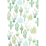 the cacti fam