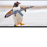 No sir