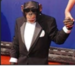 Monkey on me