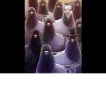 Random pigeon