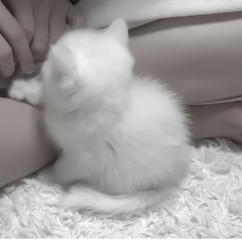 ★≧▽^