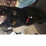 Kirmet