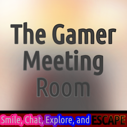 The gamer meeting room