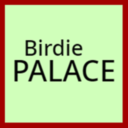 Birdie Palace : Feeling Birds!
