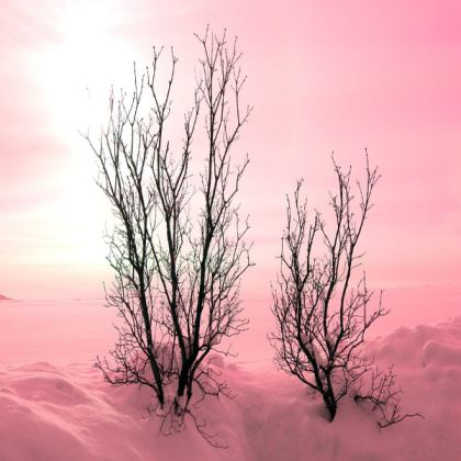 Pink Aesthetic Roblox decal
