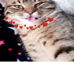 M A T E R l A L G l R L Z