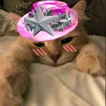clmx's IQ Obby