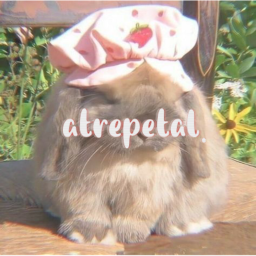 Aesthetic HomeStore- atrepetal. 🍄🌻 🍂