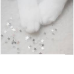 The Aesthetic Kittens