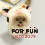 For__Fun