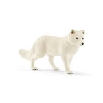 Artic Foxs