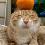 Sum Orange